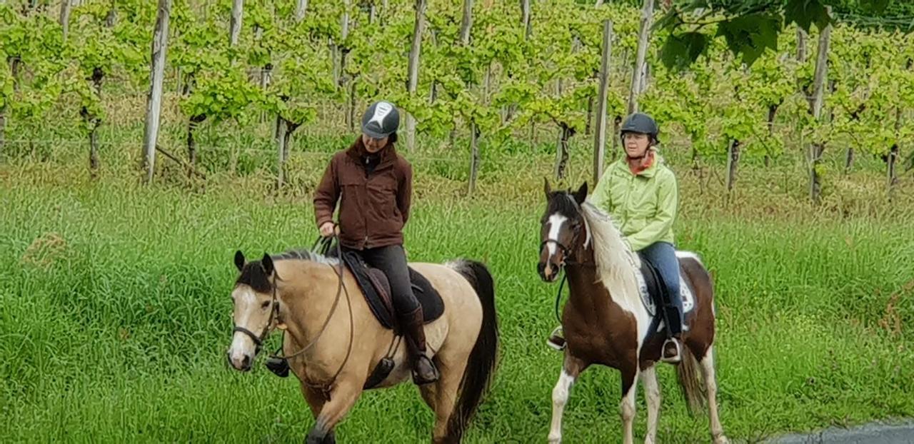 La Villa Des Coteaux Pomport エクステリア 写真